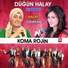 Koma Rojîn