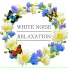 White Noise