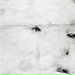 Oddkut