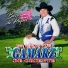 Noé Berzaín y Los Gamarz De Oriente