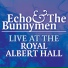 Echo & The Bunnymen