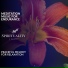 Spiritual Gardens