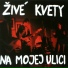 Zive Kvety
