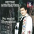 Petre Săbădeanu