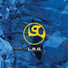 LSG