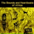 Peacocks Guitar Band Intern