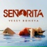 Vessy Boneva