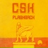 CSK