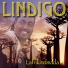 Lindigo