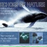 Echoes Of Nature - Beluga Whales