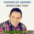 Toinho de Aripibu