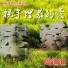 周迪迪