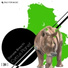 Daniele Breschi