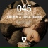 Luca Daddi, Lady K