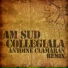 Am Sud