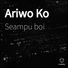 Seampu Boi
