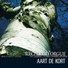 Aart de Kort