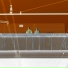 P L Z
