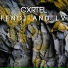 Cxrtel