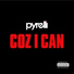 Pyrelli