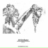 XIV Orchestral
