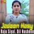 Raju Siyal, Dil Nasheen