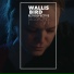 Wallis Bird