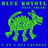 Blue Koyotl feat. Solam