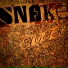 SnakeNoir