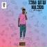 Tobii WTW