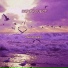 D.I.P Project-Memories