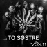 Vox 11