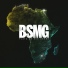 BSMG feat. Fonz
