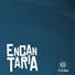 Grupo ANIMA