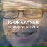 Igor Vayner