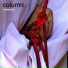 Column