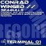 Conrad Winged