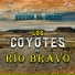 Los Coyotes Del Rio Brávo