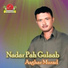 Asghar Murad