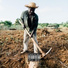 FarmerJohn