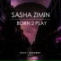 Sasha Zimin