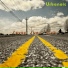 Urbanoic