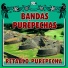 Bandas Purépechas