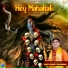 Vijay Pandit Bhardwaj