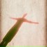 NAVE