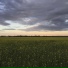 gpodkuyko