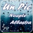 Un Pic