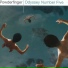 Powderfinger