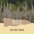 Instant Audio