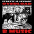 Perpetual Sensory Overload
